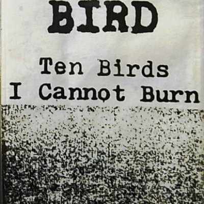 Ten Birds I Cannot Burn